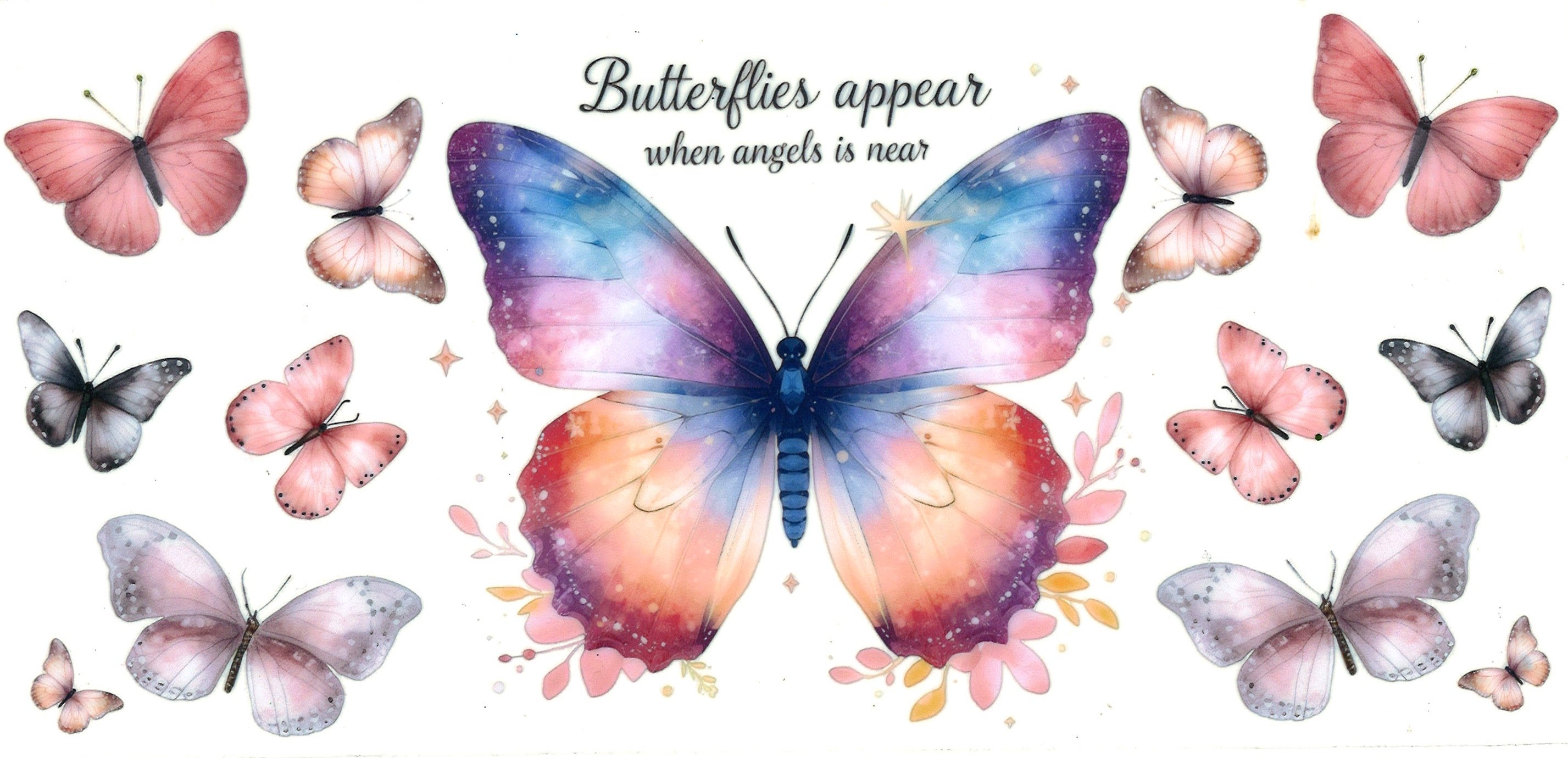 Insects / Butterflies / Bees