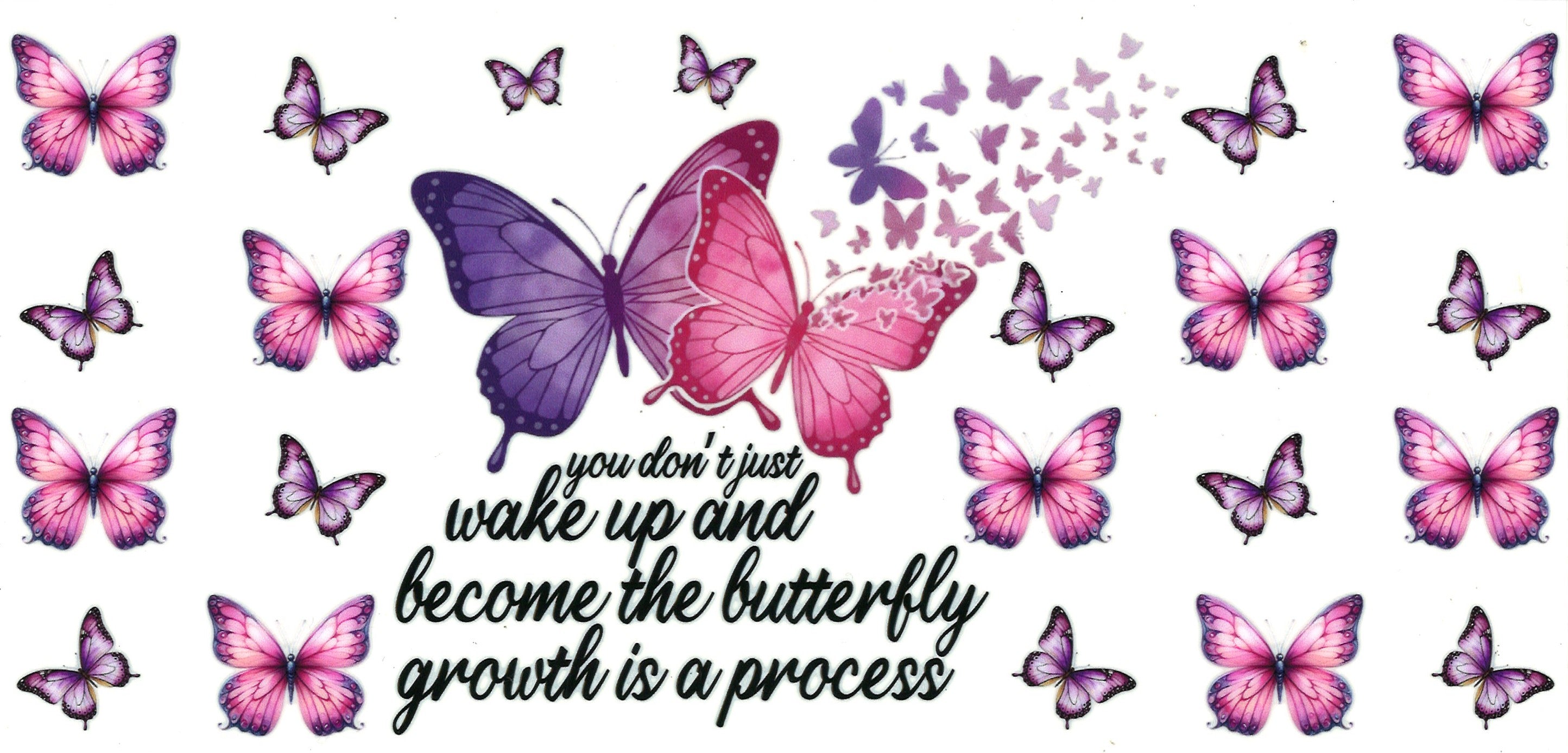 Insects / Butterflies / Bees