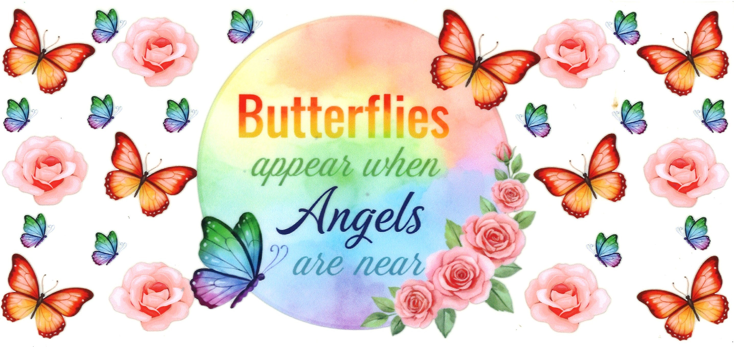 Insects / Butterflies / Bees